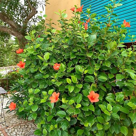 فيلا Casa "Le Terrazze" إريس المظهر الخارجي الصورة