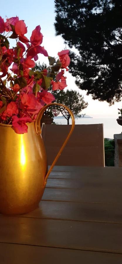 فيلا Casa "Le Terrazze" إريس المظهر الخارجي الصورة