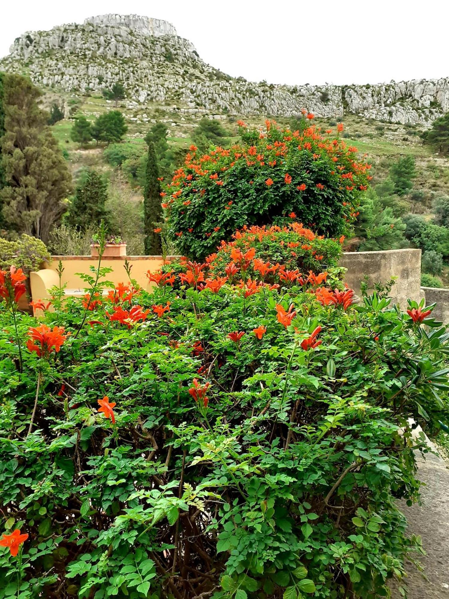 فيلا Casa "Le Terrazze" إريس المظهر الخارجي الصورة