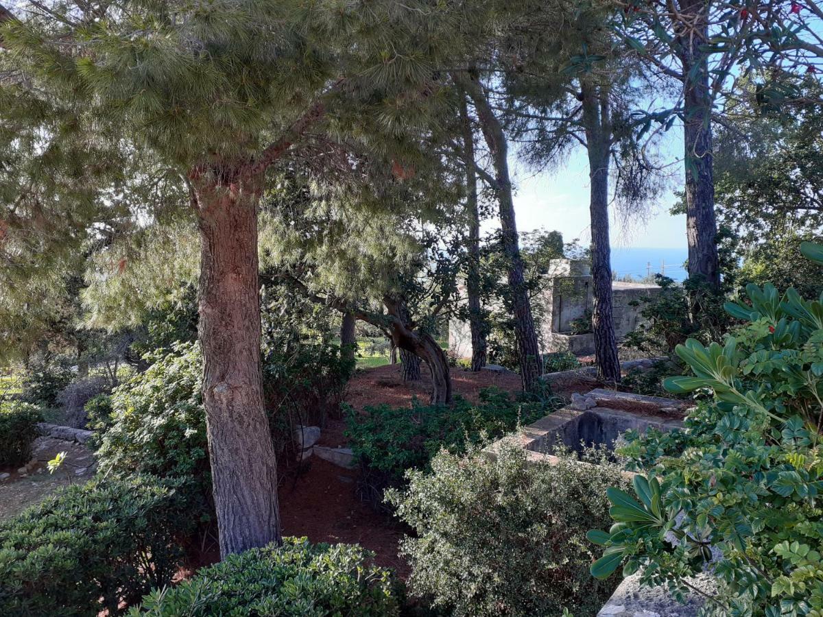 فيلا Casa "Le Terrazze" إريس المظهر الخارجي الصورة